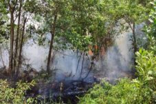 Kahutla Kembali Di Desa Limbung Sungai Raya, Polres Kubu Raya : Terima Laporan Pelaku Karhutla