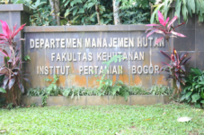 Hara dan Ekosistem Hutan di Pontianak