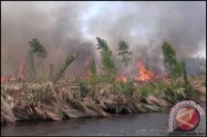 Perubahan Iklim Kalimantan Barat: Dampak dan Solusi