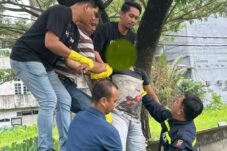Warga Gang Meliau Pontianak Geger, Pria Ditemukan Tergantung di Pohon