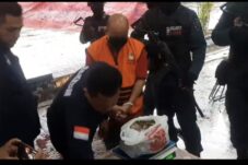 KLHK dan Polda Kalbar Amankan Sisik Trenggiling Bernilai Puluhan Miliar