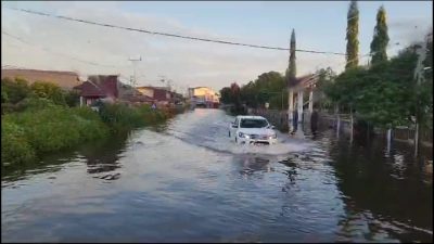 Curah hujan tinggi, Empat Kabupaten di Kalbar terendam banjir
