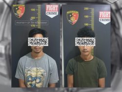 Curi buah Sawit dengan mobil rental, 2 Pemuda diamankan Polisi
