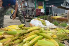 Sambut Malam pergantian Tahun, Pedagang Jagung Kebanjiran Cuan