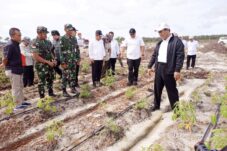 Mentan RI Didampingi Pangdam XII/Tpr Tinjau Lokasi Food Estate di Kalteng