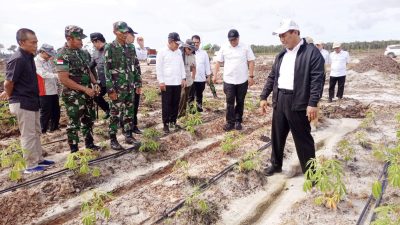 Mentan RI Didampingi Pangdam XII/Tpr Tinjau Lokasi Food Estate di Kalteng