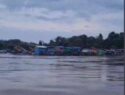 WALHI Pinta APH dan Pemda tindak Tegas pelaku PETI
