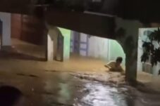 Sungai Sebalo Bengkayang Meluap, Ratusan Rumah Terendam Banjir