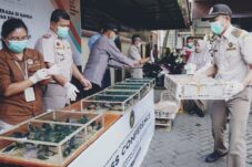 Karantina Hewan Kalbar Gagalkan Penyelundupan Ratusan Burung Dilindungi