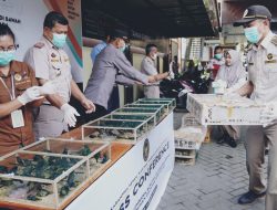 Karantina Hewan Kalbar Gagalkan Penyelundupan Ratusan Burung Dilindungi
