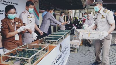 Karantina Hewan Kalbar Gagalkan Penyelundupan Ratusan Burung Dilindungi