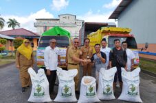 Sebagai Pengendalian Inflasi Pemprov Kalbar Salurkan Jagung Untuk Pakan Ternak