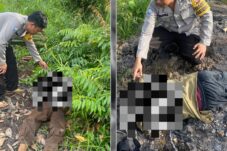 Dua Pria Lansia Di Sukadana Ditemukan Warga tak Bernyawa