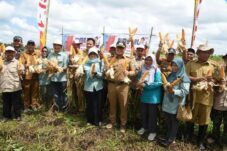 Pemkab Kubu Raya Gencarkan Ketahanan Pangan Mulai dari Pedesaan