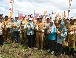 Pemkab Kubu Raya Gencarkan Ketahanan Pangan Mulai dari Pedesaan