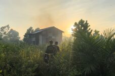 Kebakaran Lahan Nyaris Hanguskan Perumahan Di Serdam