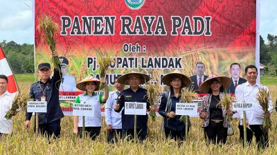 Karolin Sebut Panen Raya Padi Desa Semenok, Bukti Kab Landak Lumbung Padi Kalbar