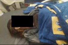 Wanita Muda Tewas Dibunuh Mantan Suami Di Kubu Raya