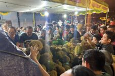 Legitnya Durian Jemongko Menjadi Rebutan Ratusan Warga