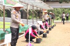 Dukung Ketahanan Pangan, Polda Kalbar Launching Pekarangan Pangan Bergizi