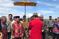 Tiba di Pontianak, Ria Norsan dan Krisantus Disambut Acara Adat Tepung Tawar
