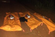 Tiga Polisi di Lampung Gugur saat Gerebek Judi Sabung Ayam