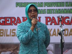 Erlina Ria Norsan Buka Kegiatan Gerakan Pangan Murah Akbar