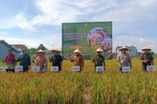 Sujiwo Sebut Panen Raya Jadi Spirit Bagi Perkembangan Pertanian di Kubu Raya