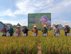 Sujiwo Sebut Panen Raya Jadi Spirit Bagi Perkembangan Pertanian di Kubu Raya