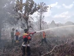 Asap Karhutla di Kubu Raya Berdampak Terhadap Penerbangan