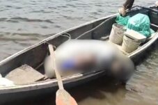 Lansia Ditemukan Tak Bernyawa di Atas Sampan Saat Melaut Sendirian