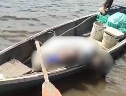 Lansia Ditemukan Tak Bernyawa di Atas Sampan Saat Melaut Sendirian
