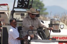 Panen Jagung di Bengkayang, Prabowo Tegaskan Indonesia Siap Swasembada Pangan
