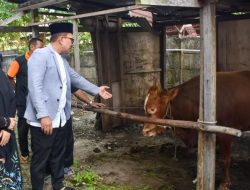 Bupati Sujiwo Serahkan Kurban Untuk Masyarakat dan Pegawai Honorer Kubu Raya