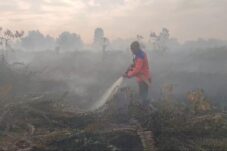 Lahan Terbakar di Arang Limbung Kubu Raya
