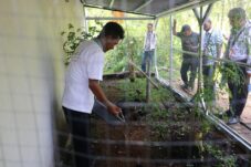 Diskominfo Pontianak Ajak Warga Olah Sampah Organik di Rumah