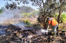 Karhutla Terus Terjadi, BPBD Kalbar Optimalkan Upaya Pencegahan
