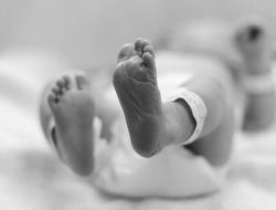Diduga Terlibat Sindikat Perdagangan Bayi, Pelaku Ditangkap