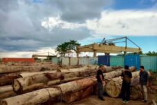 Dua Pimpinan PT.Boma Resources Ditetapkan Sebagai Tersangka dalam Kasus Peredaran Kayu Bulat Ilegal di Kalimantan Barat