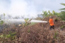 Karhutla Terjadi di Mempawah, BPBD Kalbar Kerahkan Tim Pemadam ke Lokasi