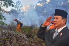 Prabowo Ancam Cabut Izin Perusahaan Pembakar Lahan