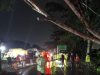 Kubu Raya Dikepung Cuaca Ekstrem, Pohon Tumbang Timbulkan Kemacetan Panjang di Jalan Poros