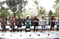 Kerap Sumbang Inflasi, TPID Kuponwah Canangkan Tanam Cabai