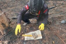 Tim Jibom Polda Kalbar Musnahkan Granat Nanas Temuan Warga di Kapuas Hulu