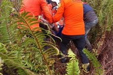 Lansia di Kubu Raya Ditemukan Meninggal di Hutan Usai Tiga Hari Pencarian