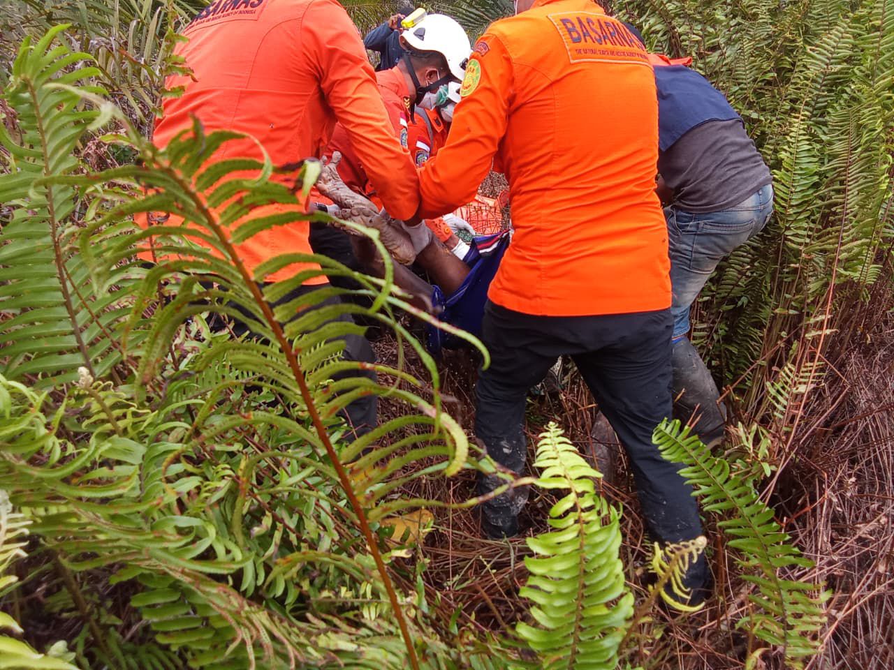 Lansia di Kubu Raya Ditemukan Meninggal di Hutan Usai Tiga Hari Pencarian