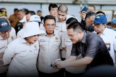 Kembalinya Kegiatan Ekspor Arwana Jadi Harapan Baru Bangun Ekonomi Daerah