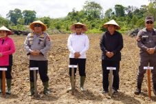 Penanaman Jagung Serentak Kuartal IV di Wilayah Kabupaten Kapuas Hulu