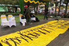 Parade Ngampar Pusaka Meriahkan HUT Pontianak ke-254, Tampilkan Kekayaan Warisan Nusantara