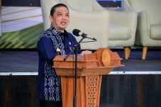Kalbar Jadi Poros Strategis Integrasi Ekonomi Borneo, Ria Norsan: Kita Harus Bergerak Bersama